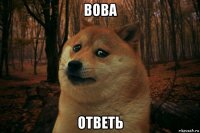 вова ответь