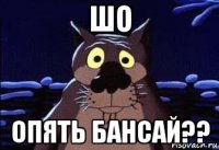 шо опять бансай??