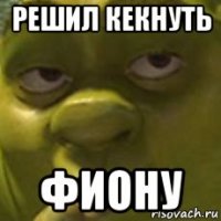 решил кекнуть фиону