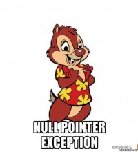  null pointer exception