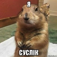 я суслік