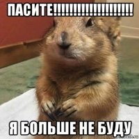 пасите!!!!!!!!!!!!!!!!!!!! я больше не буду