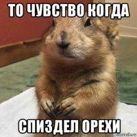 то чувство когда спиздел орехи