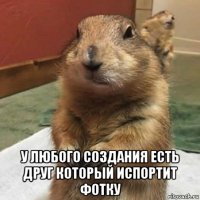  у любого создания есть друг который испортит фотку