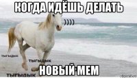 когда идёшь делать новый мем