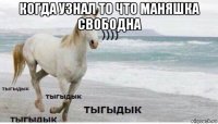 когда узнал то что маняшка свободна 