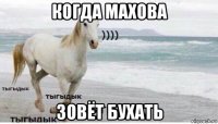 когда махова зовёт бухать