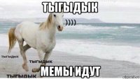 тыгыдык мемы идут