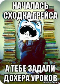 началась сходка грейса а тебе задали дохера уроков