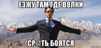 езжу там где волки ср@ть боятся