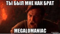 ты был мне как брат megalomaniac