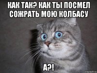 как так? как ты посмел сожрать мою колбасу а?!