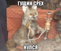 гущин срех нулся