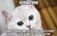 купи купи купи коту шавермы а то он нагадит в твои тапки и буддет смотреть на тебя так