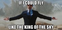 if i could fly like the king of the sky