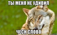 ты меня не удивил чесн слово