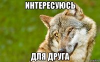 интересуюсь для друга