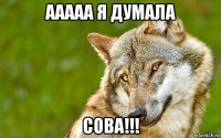 ааааа я думала сова!!!