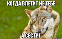 когда влетит не тебе а сестре