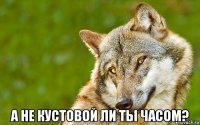  а не кустовой ли ты часом?