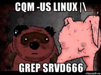 cqm -us linux |\ grep srvd666