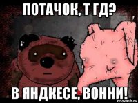 потачок, т гд? в яндкесе, вонни!