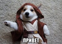  привет