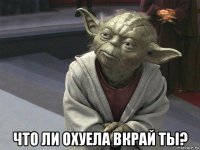  что ли охуела вкрай ты?