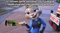 осторожно двери закрываются следующая станция ельшанка конечная выход на правую сторону 