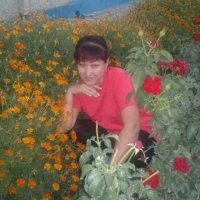 Создать мем Хуш