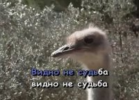 Создать мем Лд