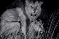 секс знакомства львов - Фото из альбома: Сайт интим знакомств