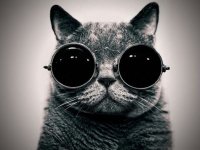 Создать мем Наркота