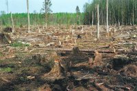 Создать мем Ожидали безвиз получили безлес