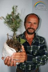 Создать мем Саженцы и семена