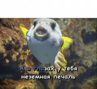 Создать мем Ва