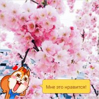Создать мем Всех