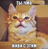ты-чмо живи с этим