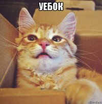 уебок 
