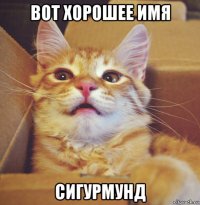 вот хорошее имя сигурмунд
