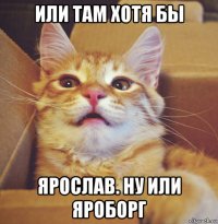 или там хотя бы ярослав. ну или яроборг