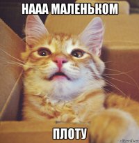 нааа маленьком плоту
