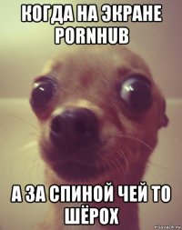 когда на экране pornhub а за спиной чей то шёрох