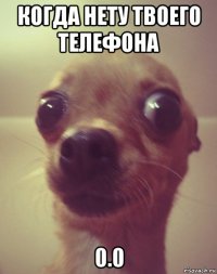 когда нету твоего телефона 0.0