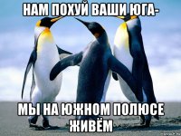 нам похуй ваши юга- мы на южном полюсе живём