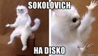 sokolovich на disko