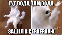 тут вода, там вода зашел в серверную