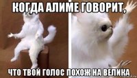 когда алиме говорит, что твой голос похож на велика