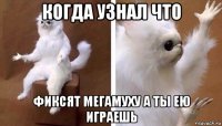 когда узнал что фиксят мегамуху а ты ею играешь