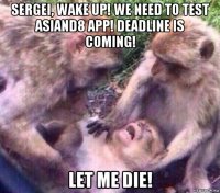 sergei, wake up! we need to test asiand8 app! deadline is coming! let me die!